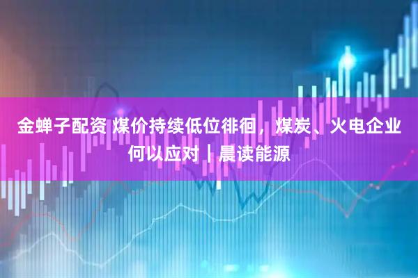 金蝉子配资 煤价持续低位徘徊，煤炭、火电企业何以应对︱晨读能源