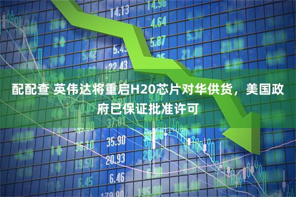 配配查 英伟达将重启H20芯片对华供货，美国政府已保证批准许可