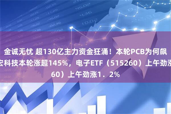 金诚无忧 超130亿主力资金狂涌！本轮PCB为何飙涨？胜宏科技本轮涨超145%，电子ETF（515260）上午劲涨1．2%