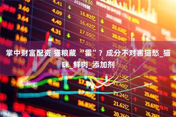掌中财富配资 猫粮藏 “雷”？成分不对害猫愁_猫咪_鲜肉_添加剂