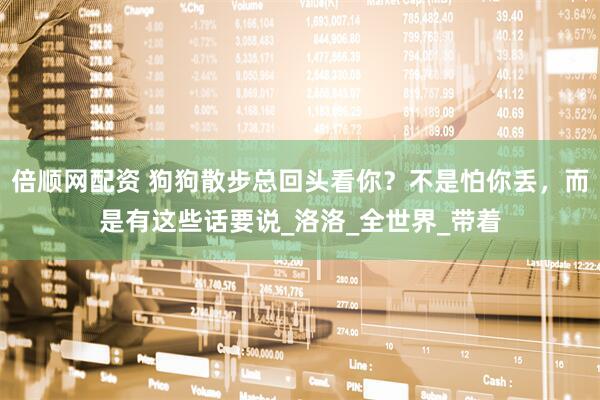 倍顺网配资 狗狗散步总回头看你？不是怕你丢，而是有这些话要说_洛洛_全世界_带着