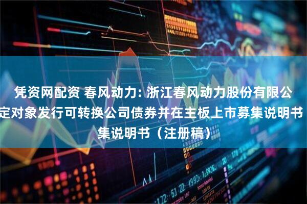 凭资网配资 春风动力: 浙江春风动力股份有限公司向不特定对象发行可转换公司债券并在主板上市募集说明书（注册稿）